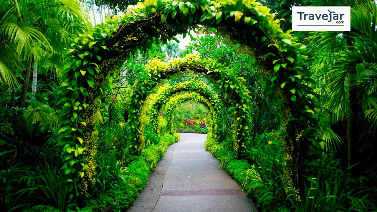 Singapore Botanic Gardens